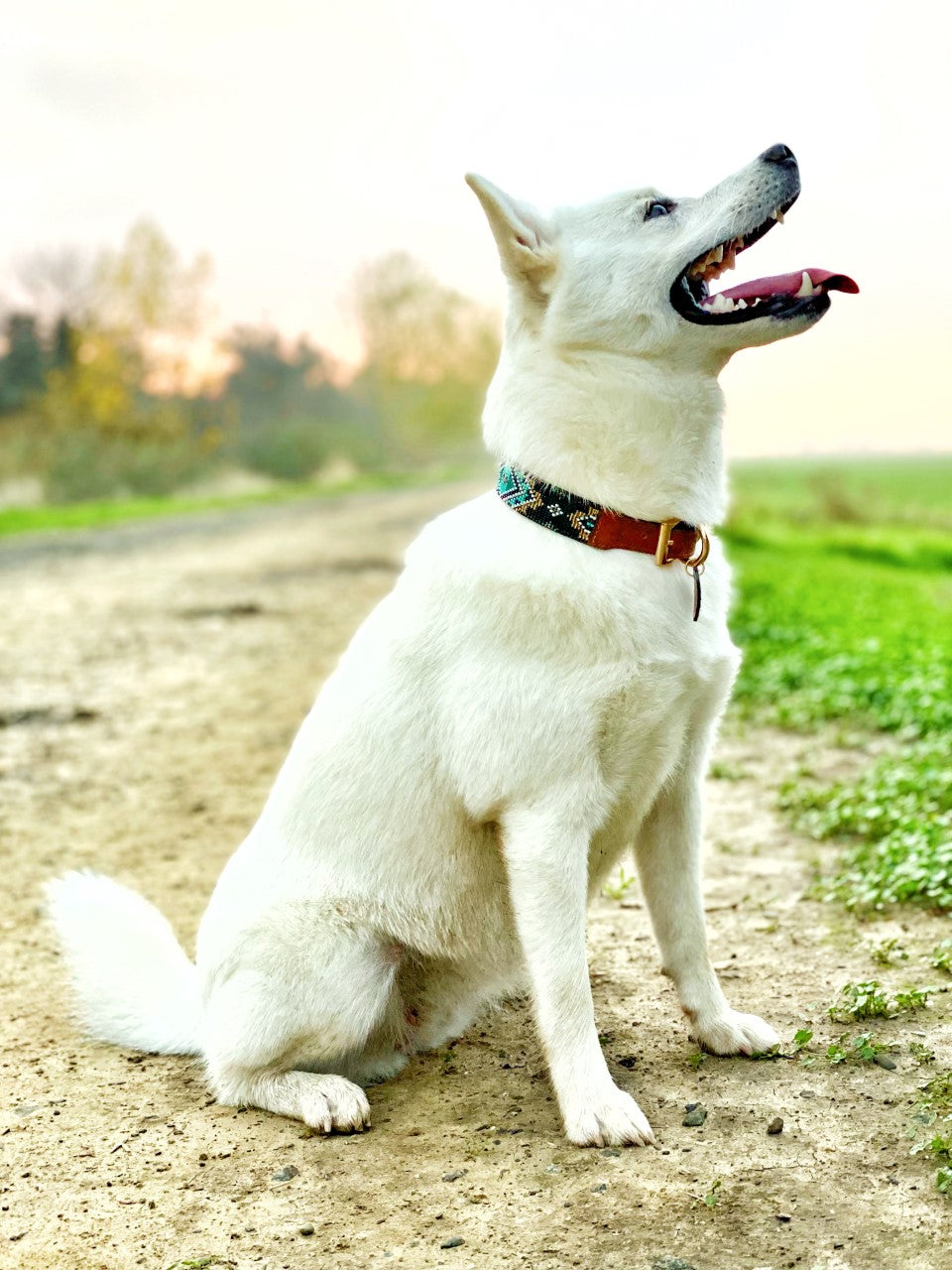 Nuqui collar